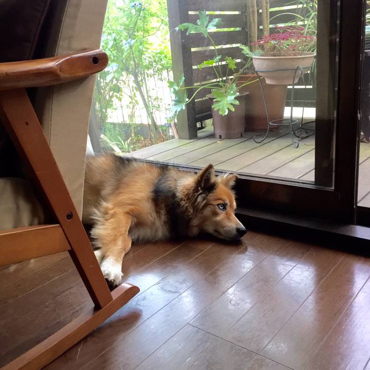 Ea9f059d 80d3 4ec2 a3bf 21721704d4cc