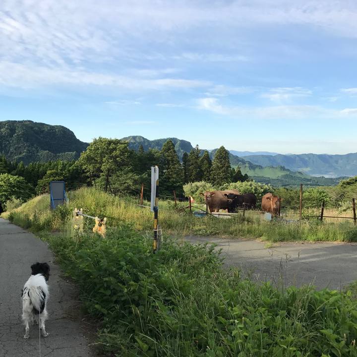 Ea9f14d1 e7a6 4396 84db 167cda4ea901