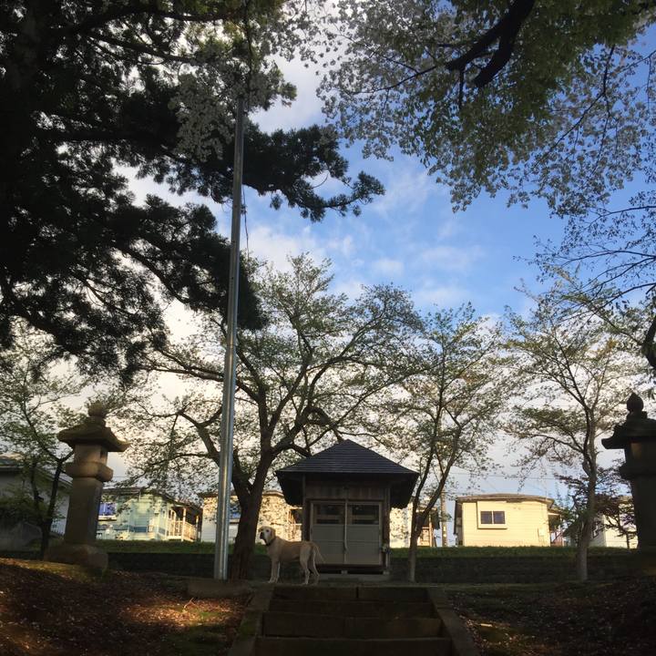 Ea9f74b9 da0d 4bbb 9957 757b7d7a8a98