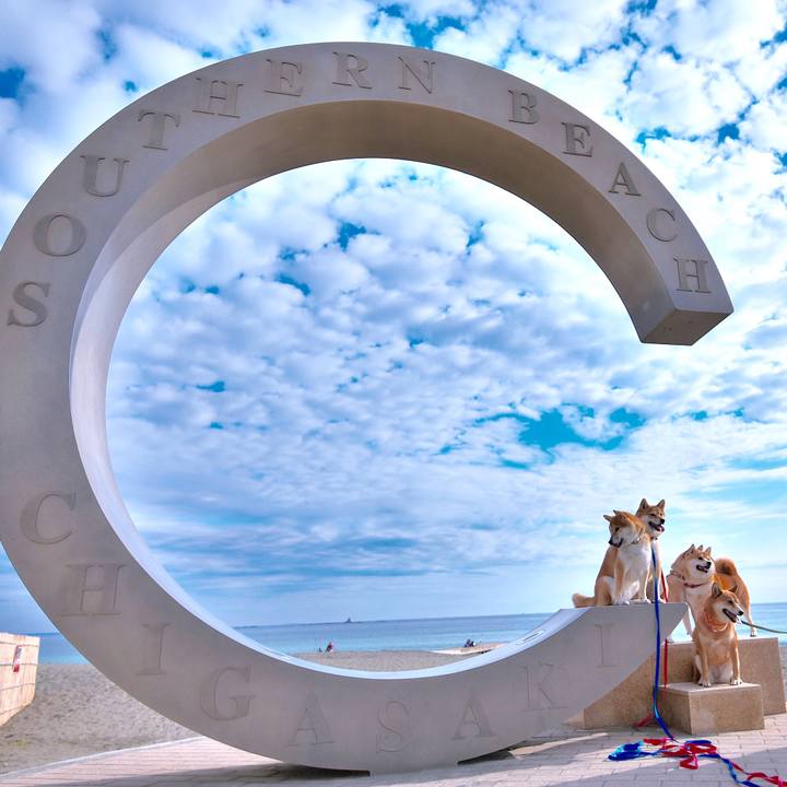 Ea9f86d5 507b 45db 904d 16d616975dbe