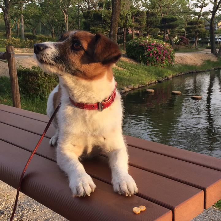 Ea9ff660 fc9f 47b4 83cf c50fb105b18f