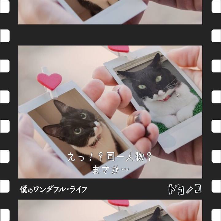 Eaa0c167 baed 4b27 aa85 1d9d987531f9