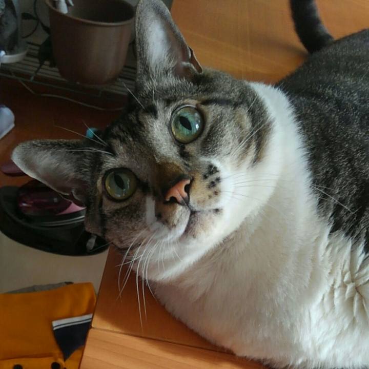 Eaa0f5da 8ed7 45b9 9a3b 1fcb91001401