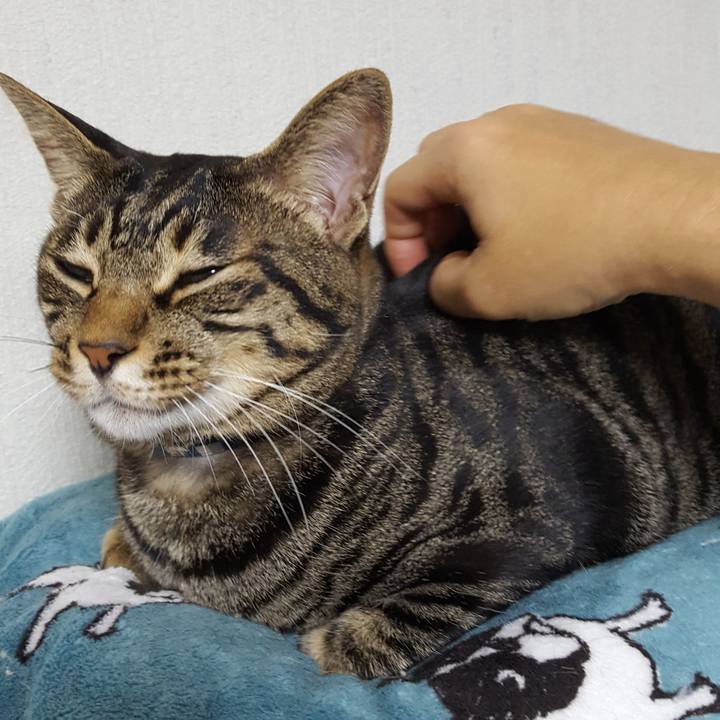 Eaa122be ebd2 43a4 91ad 09129c4ccad1