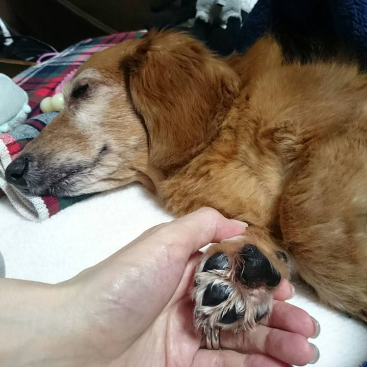 Eaa1252e de8b 4d56 bbcb a2e8c1a4ce6b