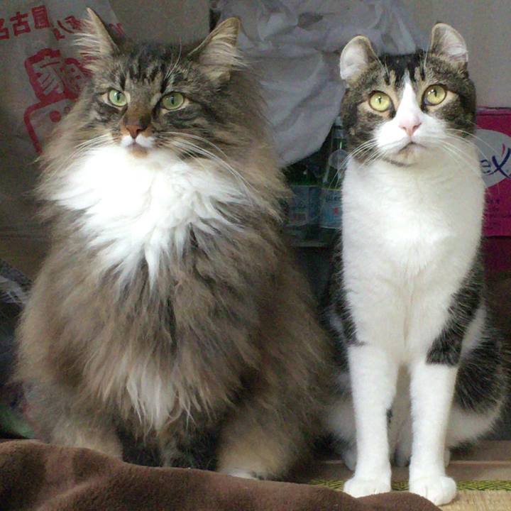 Eaa19bec 5270 4c26 bdd8 d8dada19c624