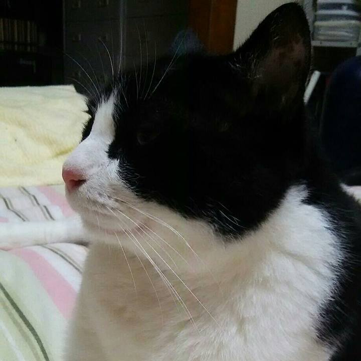 Eaa235a3 e65b 40df 86b9 40e0d56354ef