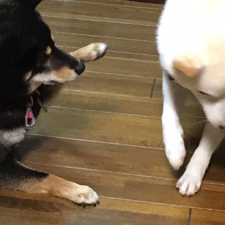 Eaa23632 c8a4 4438 8170 6f58cb3a3084