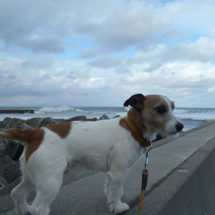 Eaa255a5 d9fe 43cb 9000 91ec450c9e7f