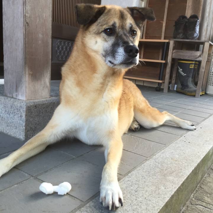 Eaa277ba f8f1 4afa b181 70786b47777b