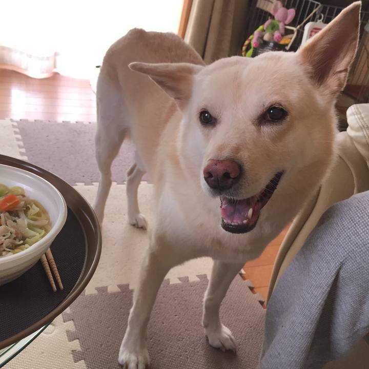 Eaa2bda7 7eef 4d8f beca dc4145045a21