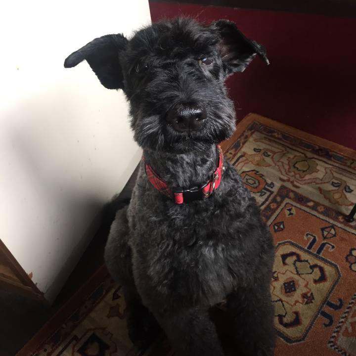 Eaa2fd4b f4fe 4db0 b78f b1752bff390f