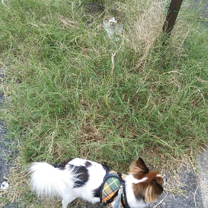 Eaa33264 fe05 4bef a073 c94277a38c98