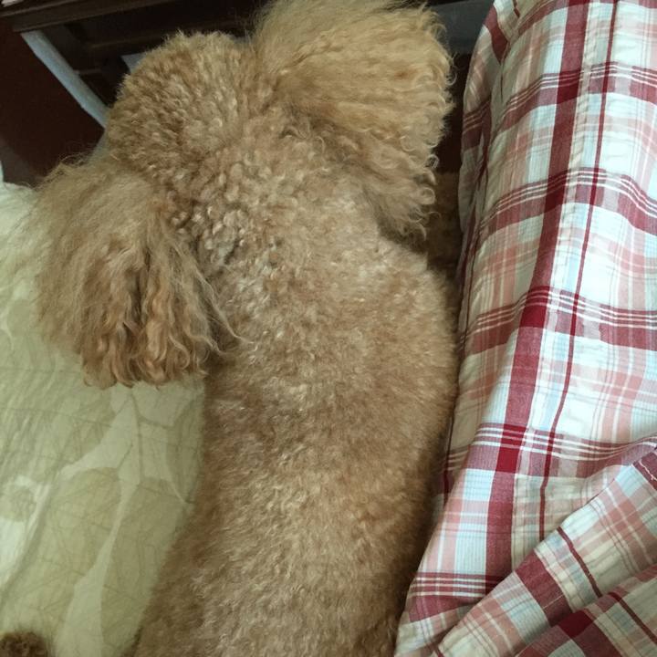 Eaa344bb e694 4480 93c4 7f160d190aab