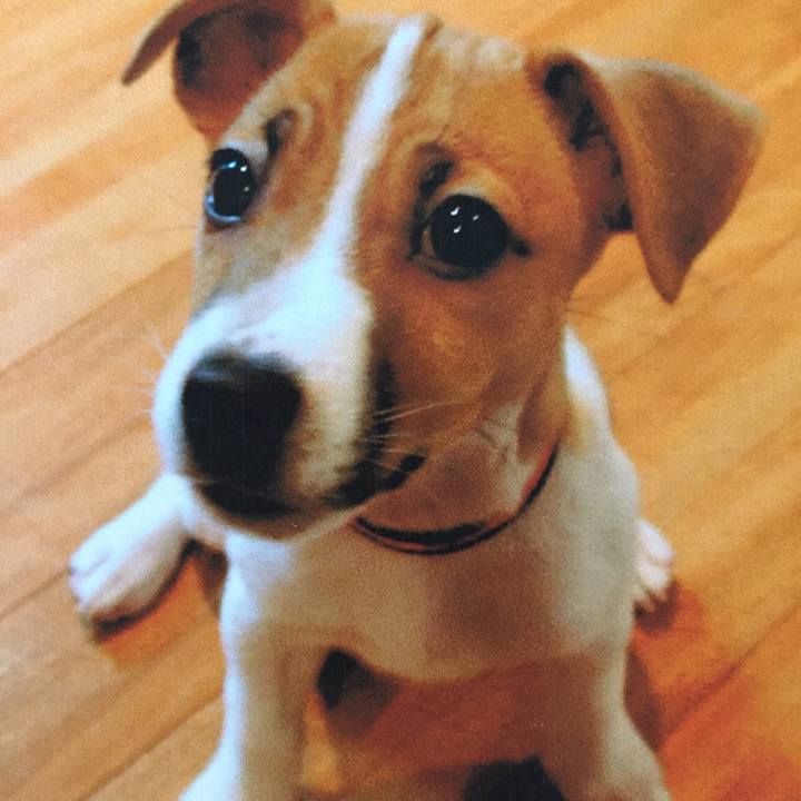 Eaa3972c 03d5 43c4 9008 cd9c20e41439