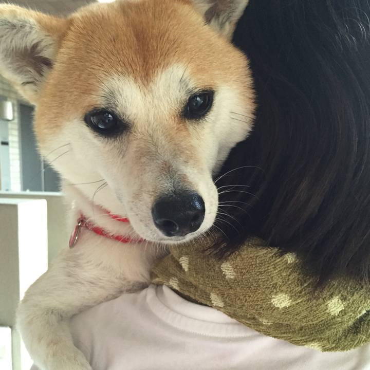 Eaa447fe 0705 49fa b5df 14a247bd5118