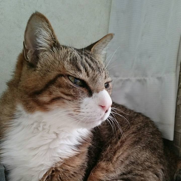 Eaa4a3da eecb 4e77 952d ef261566a0c4