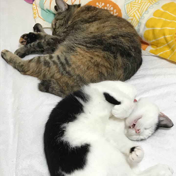 Eaa504c8 af7b 4e45 bd7f 5ee19e62e879