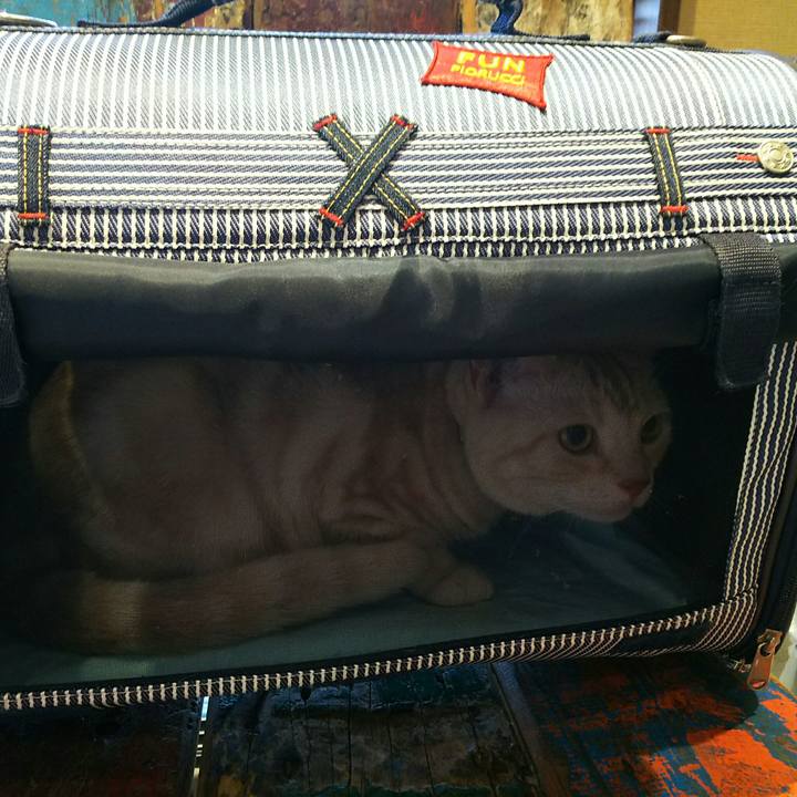 Eaa5b608 df01 489d 92b2 3cf06d2eaafb