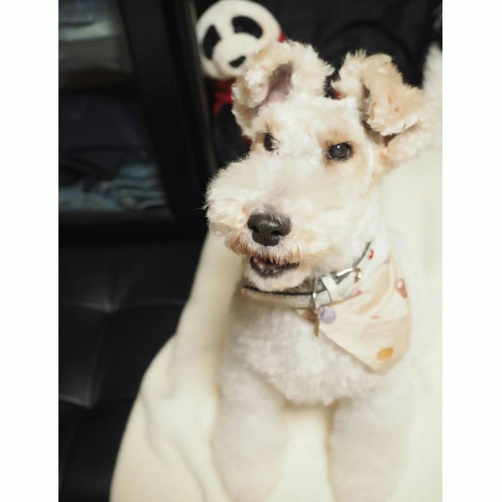 Eaa5e8e6 6296 4bb6 ad44 e888de3341e2