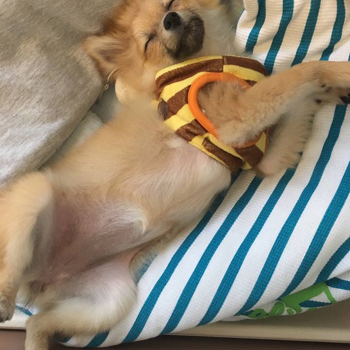 Eaa5f178 460f 4e16 bf05 94b9daa34538