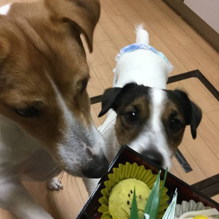 Eaa6490c 860f 4792 a126 797475036b36