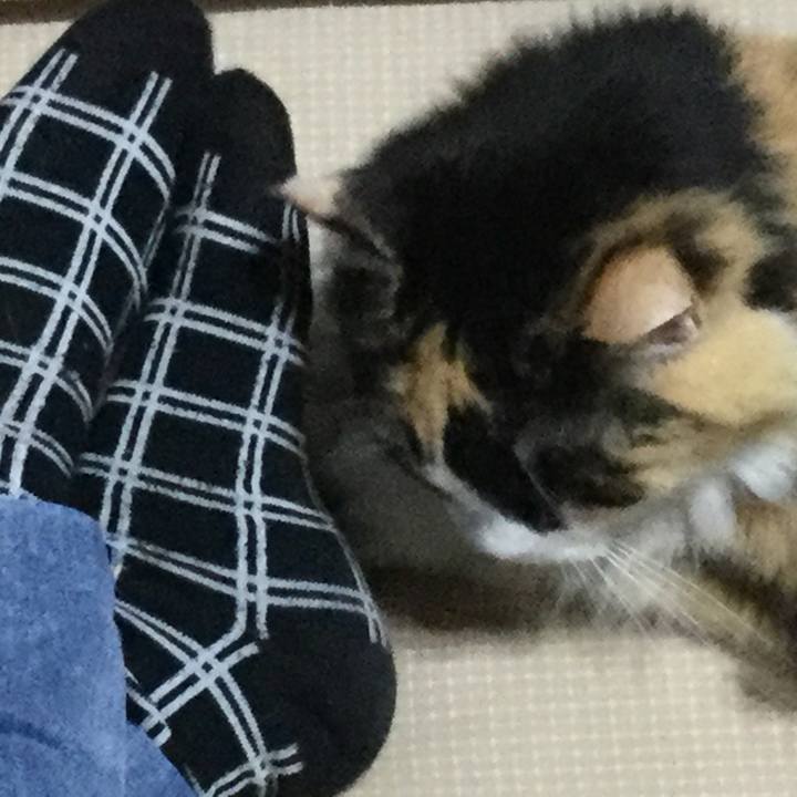 Eaa64d04 f019 4e1e 8670 ad4c4bd10042