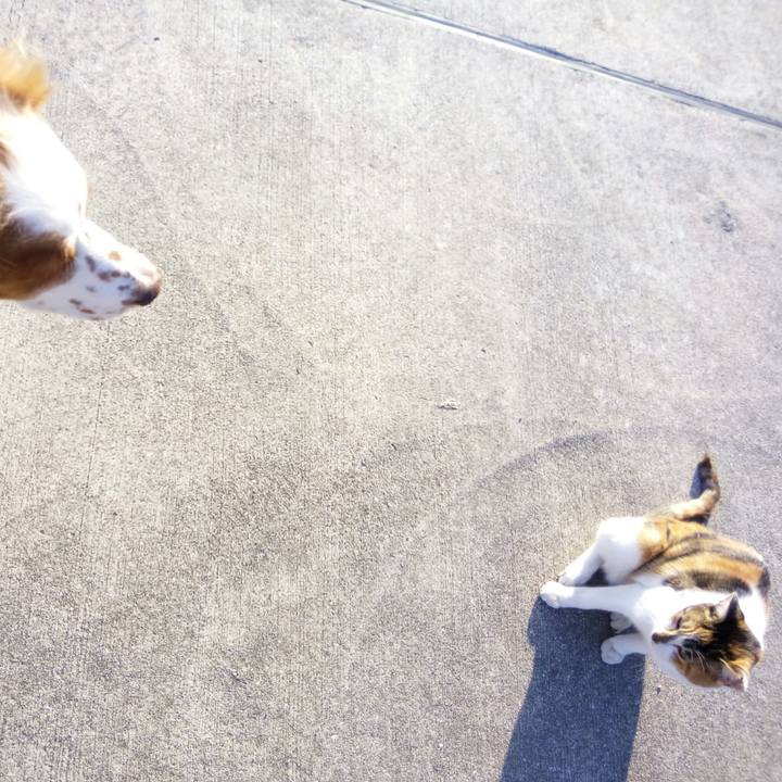 Eaa710e3 fc39 4877 9ae3 46a5e5a2f6d8