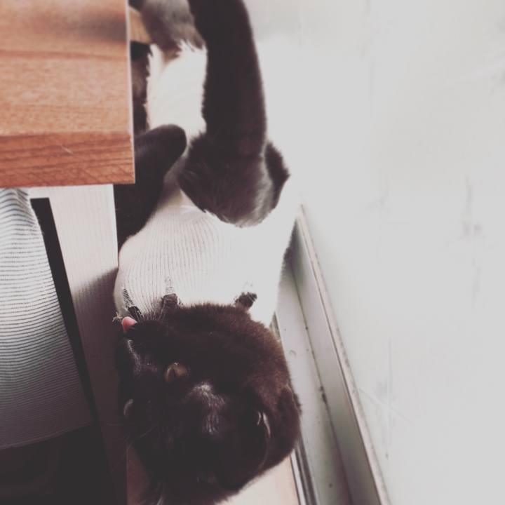 Eaa711ab 62c4 4058 963f 1adc3bace140