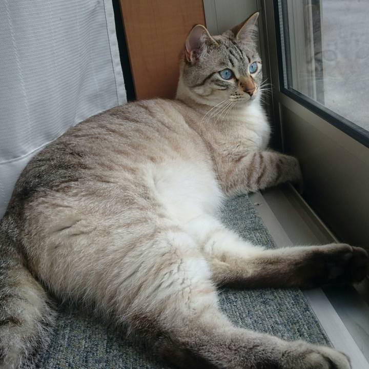 Eaa71636 645f 40ea 95da 08e842afc3fe