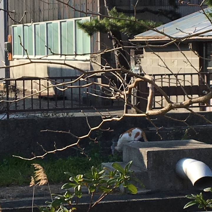 Eaa74419 6ffb 42fe 99f1 c373169a160c