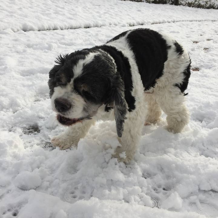 Eaa75afc 9a6d 4ef4 8d45 f82b69dd9439