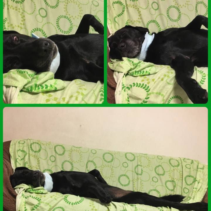 Eaa799aa 6105 42c8 a929 d2030e6fffa8