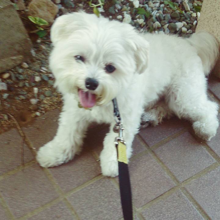 Eaa7b382 2d2e 4e2d b506 a11c650f89b0