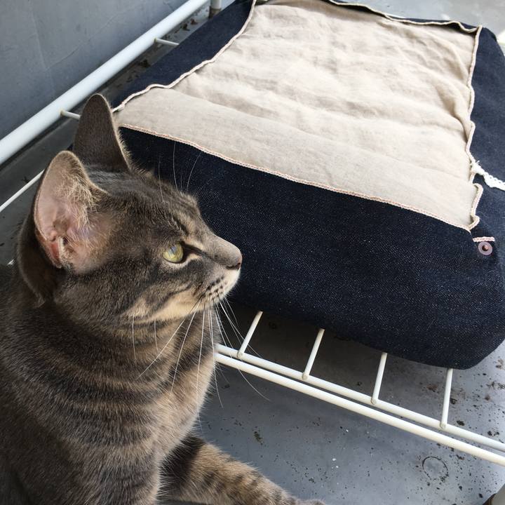 Eaa888b3 ac9e 4596 8b34 84ed0a12e4ec