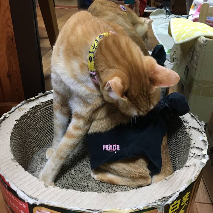 Eaa9deaf 2f7c 4791 9b39 7dac912539fa