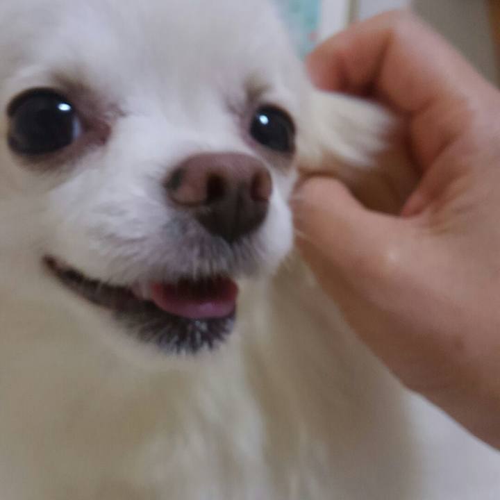 Eaaa36e6 eeec 4200 8eba 511d1de866f5