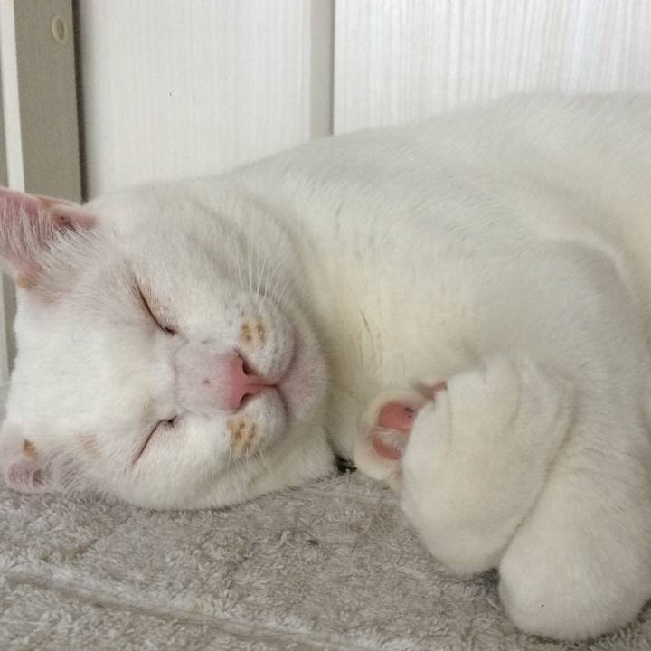 Eaaa993a ccae 44a2 89e0 3c5c79b23146