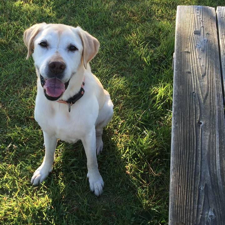 Eaab22e4 862e 4672 97f1 60068354d93e