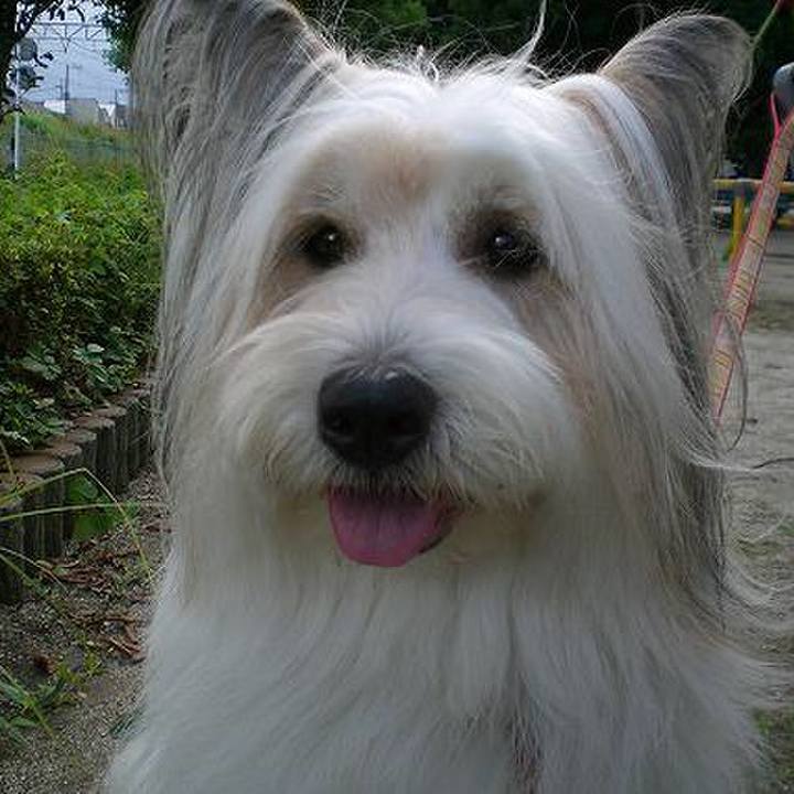 Eaab3e8f ac46 4bb0 aa00 ad0938be0366