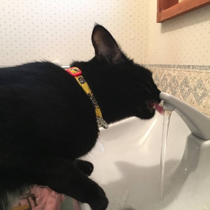 Eaab4e99 b6c5 40c0 9cbc 4a2109238a43