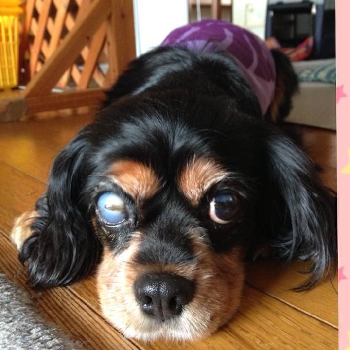 Eaabb783 c678 4f0f 8872 7370b2858c1d