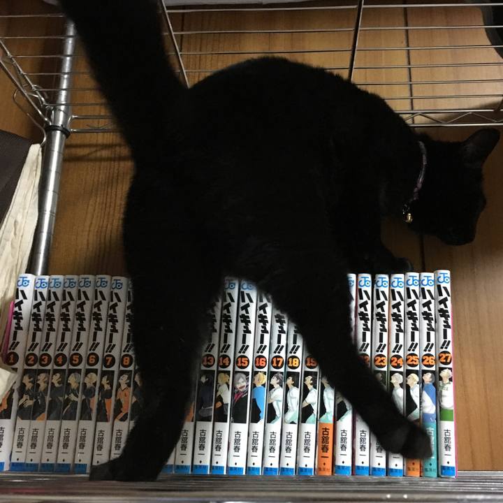 Eaabdf8b c0fd 4e2e 8aa7 e2ca0fd16a57