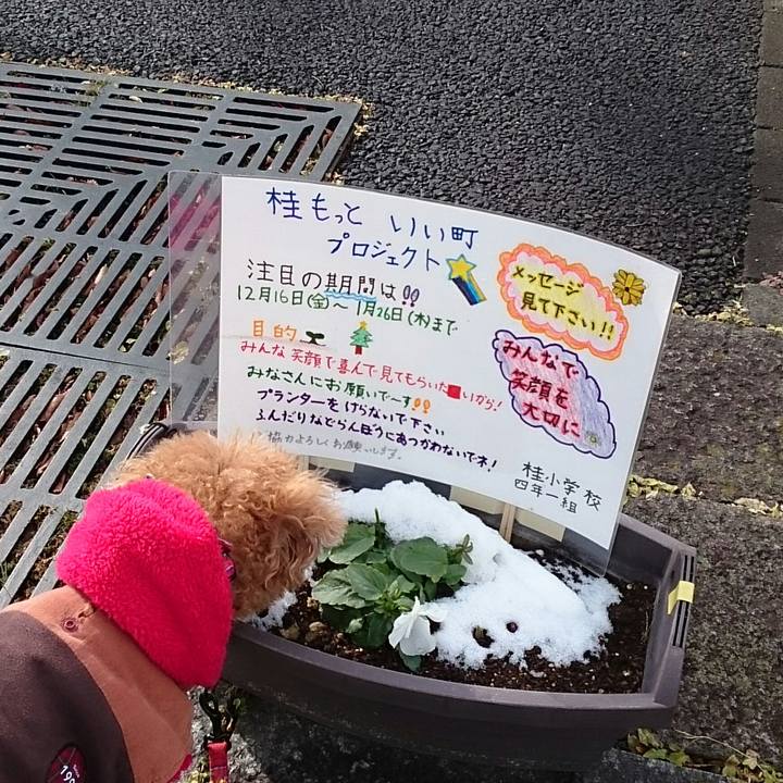 Eaac6848 2aae 4e4e 9f43 efd640268ab6