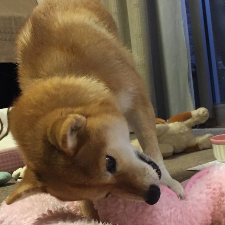 Eaad82d7 f9de 4f1d 867b c1a04b5c1339