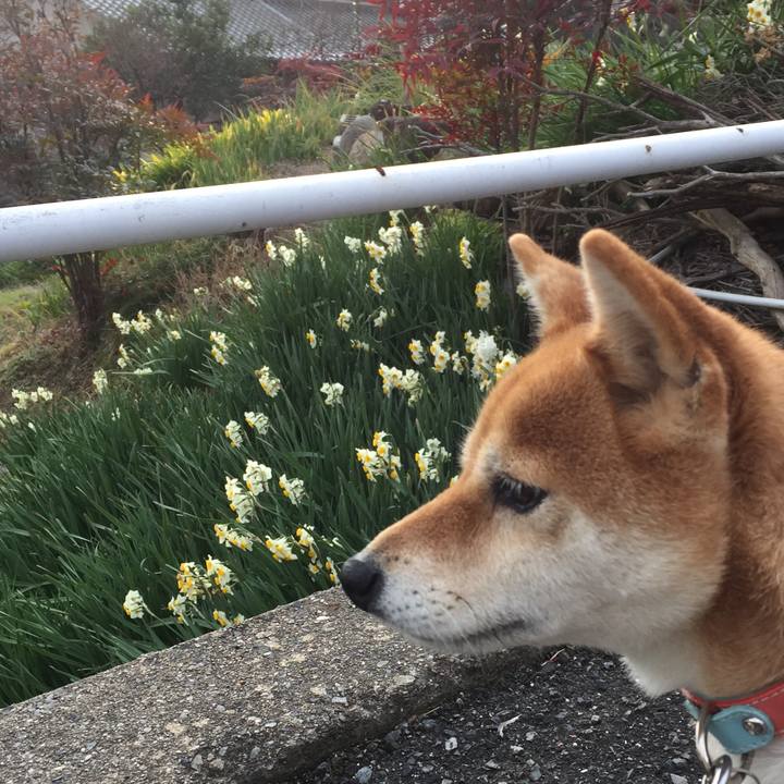 Eaada56f 2d2e 4445 a0dc 884ba149c81e