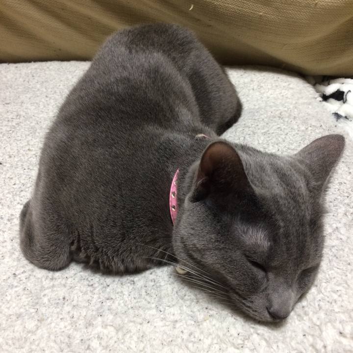 Eaae2b34 6cfb 4338 9f57 578bcf4cbe68