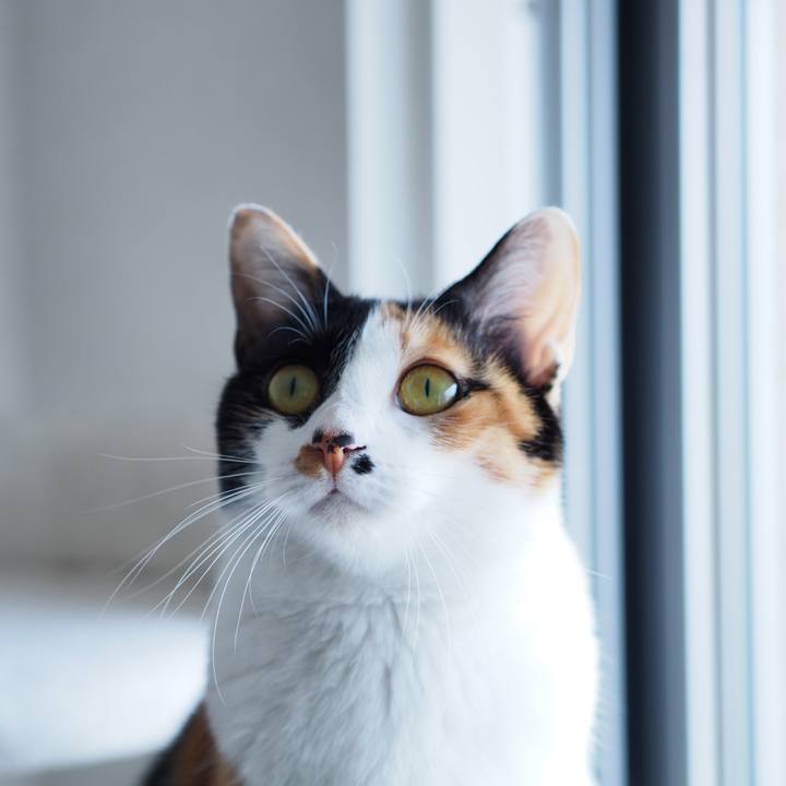 Eaae2fbb 3d56 45f2 a5af 0aa3c3341d66