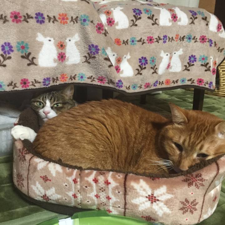 Eaaf0542 8ad8 426c b977 ce5cc8082001