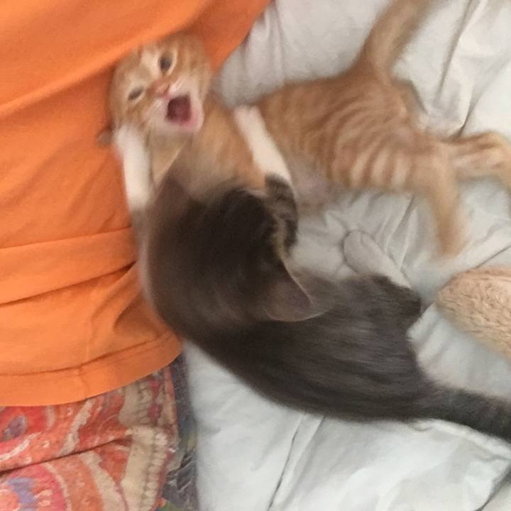 Eaaff8bc 263f 46e2 96c8 c55d0ebcaea6